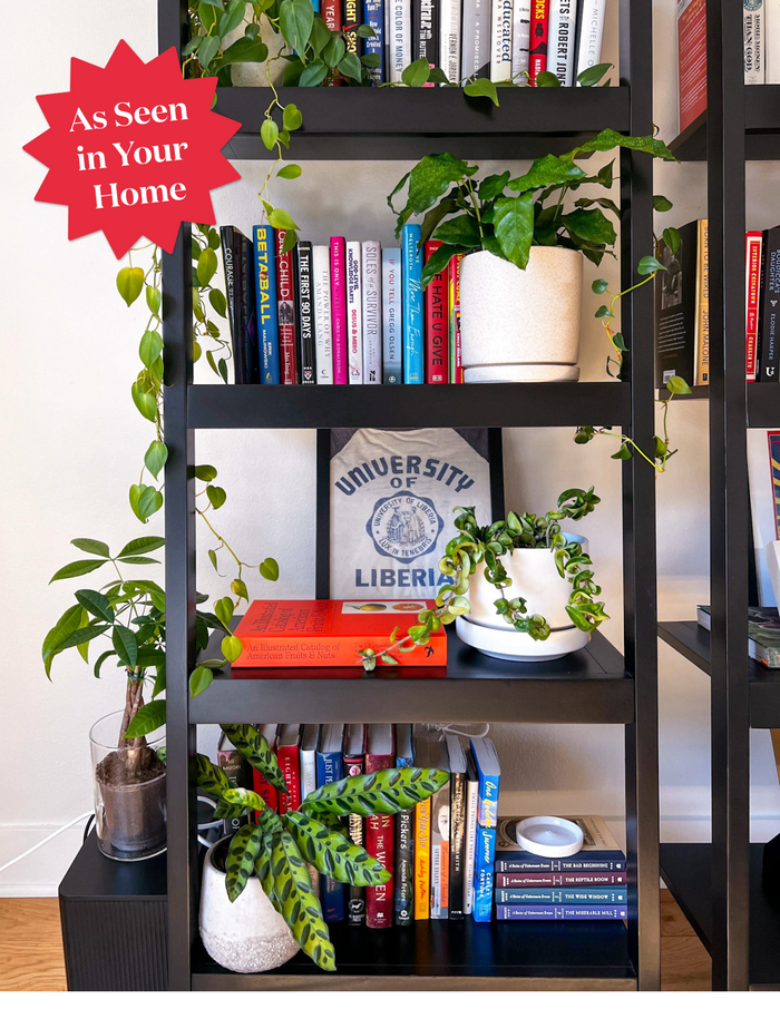 Calathea Network