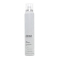 Ecru Dry Shampoo 4.6 oz - Overstock Beauty Supply