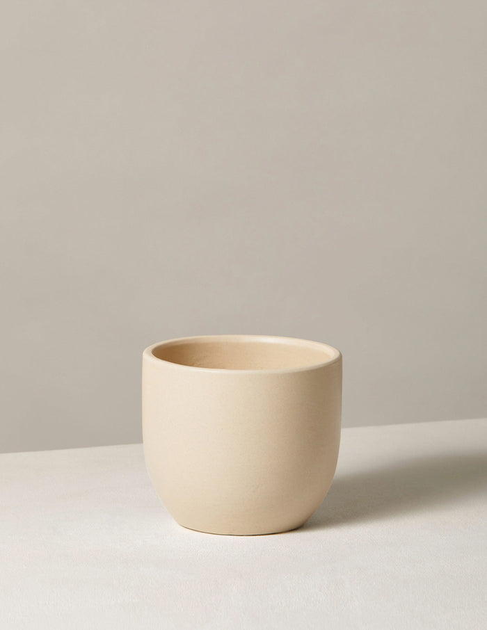 Small / Cream