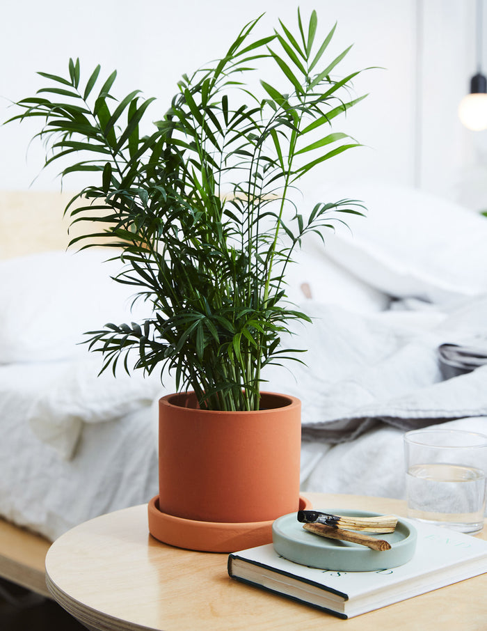 Hyde Ceramic Planter