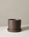 Small (5" wide) / Olive