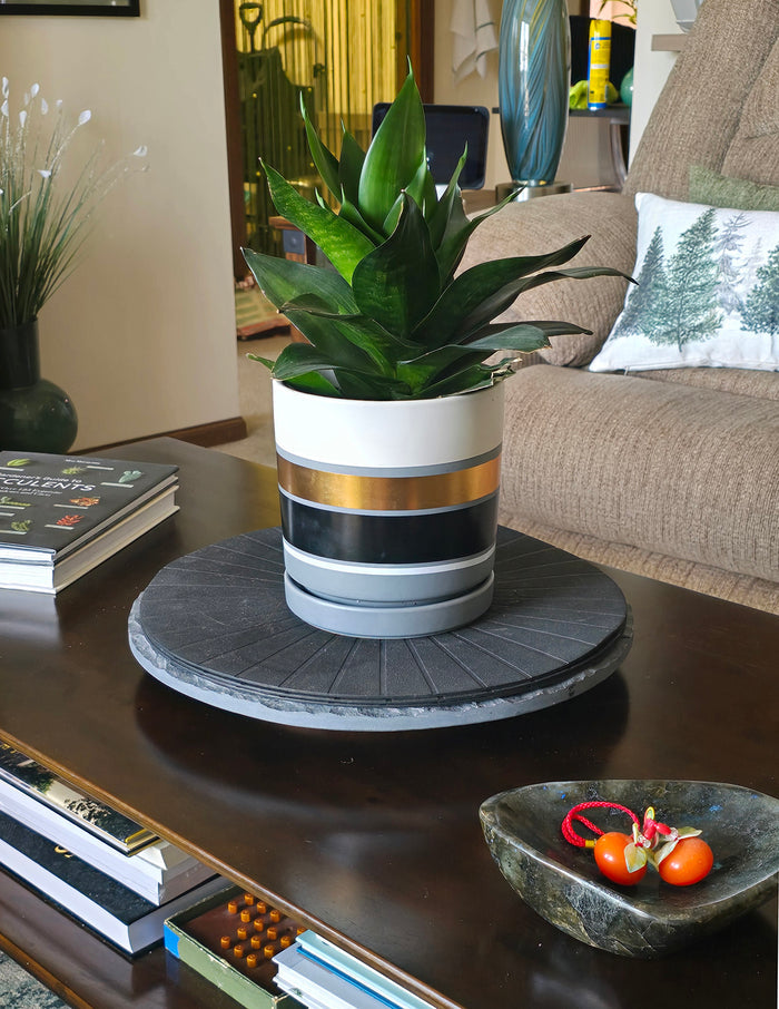 Isabella Ceramic Planter