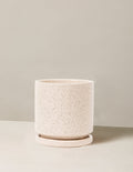 4 in. / White Sesame
