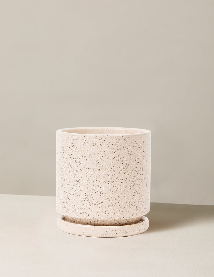 4 in. / White Sesame