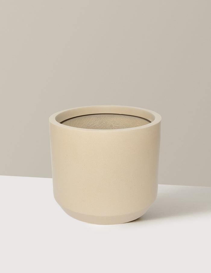 Mexia Planter
