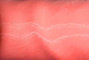 Tablecloth 90 Round / Coral