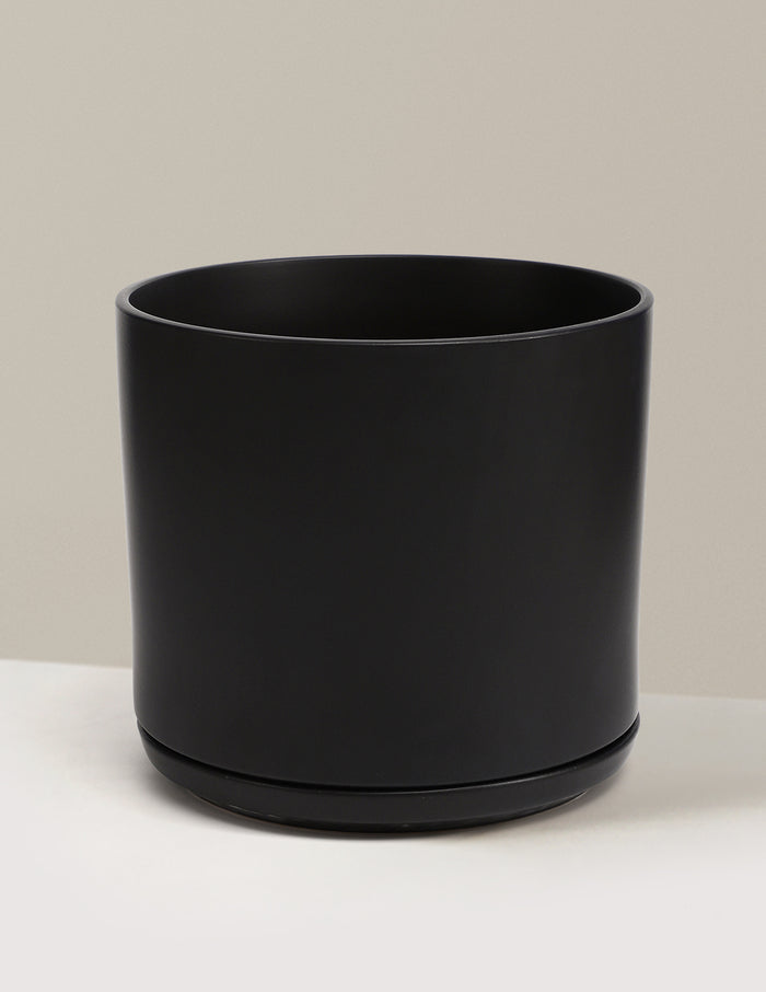 Revival Planter with Saucer