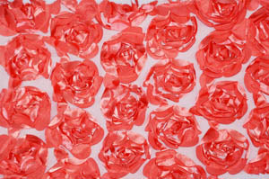52in x 96in - 8ft Tall / Coral