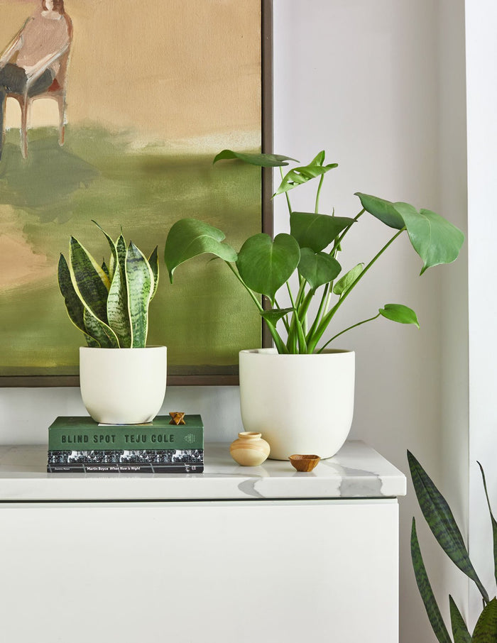 Small & Medium Grant Ceramic Planter Duo